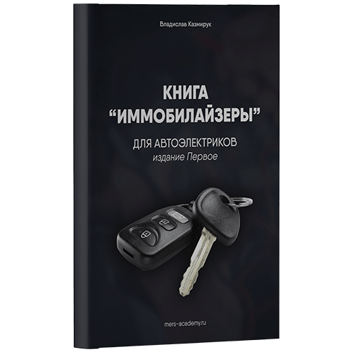 Обложка пособия «Иммобилайзеры»